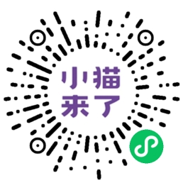 小猫来了二维码