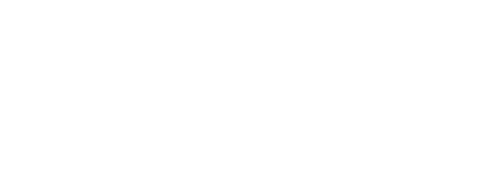 小猫来了